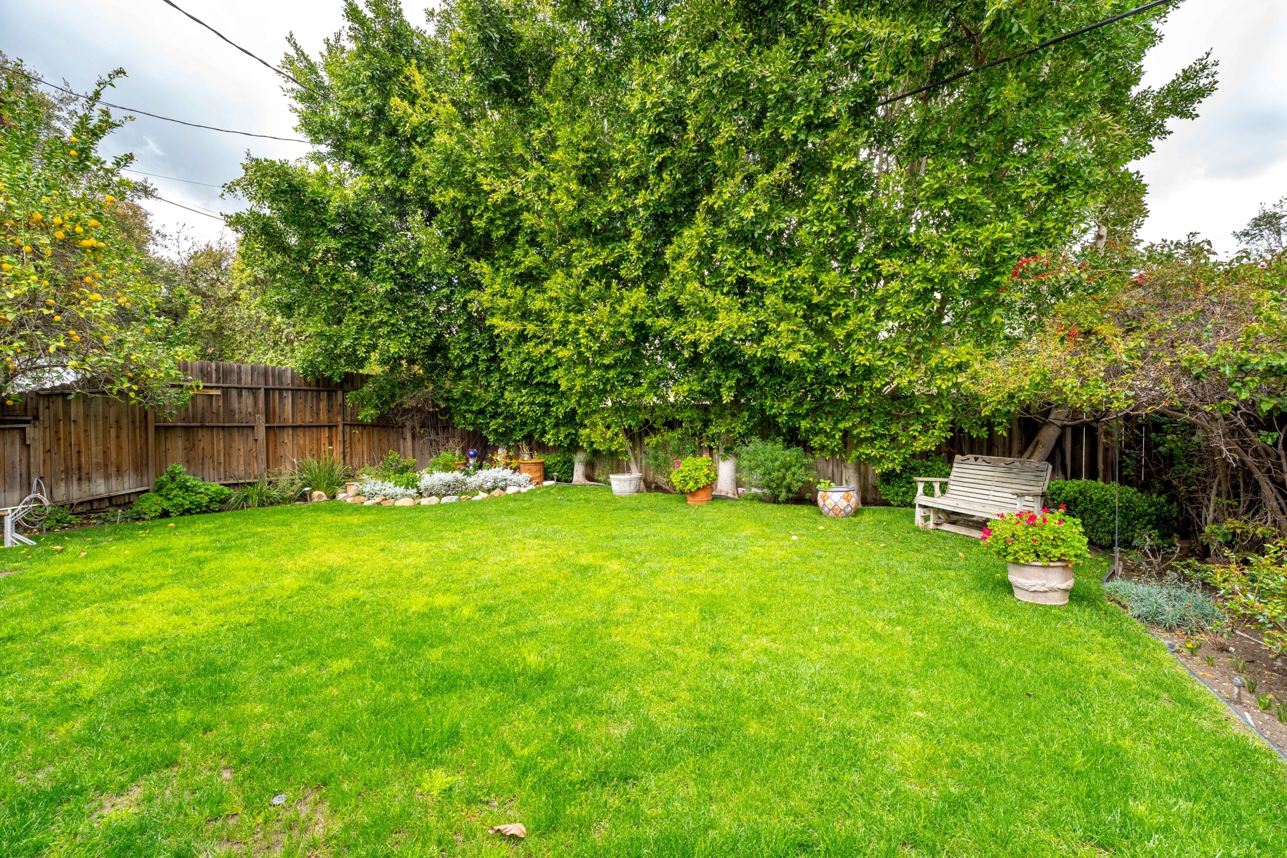 11323 Valley Spring Lane - backyard view of a house property with beautiful green flowers