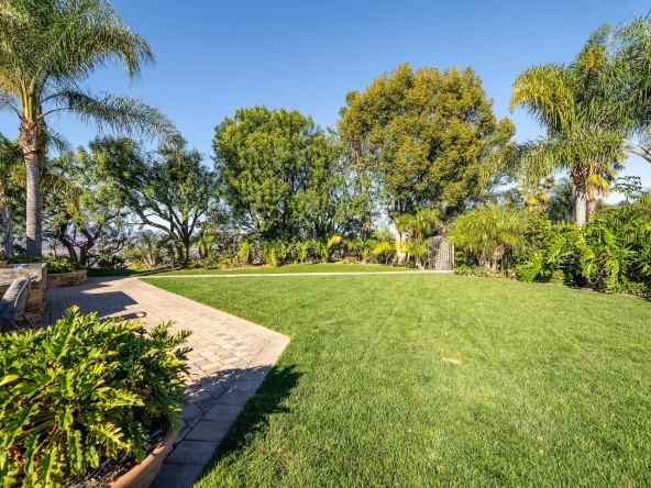 13723 Nightsky Back 5