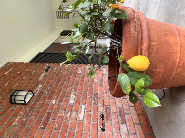 22719 Town Crier Road - 48