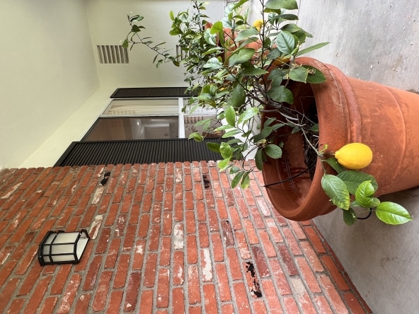 22719 Town Crier Road - 49