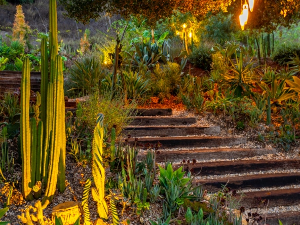 24537 DRY CANYON COLD CREEK PRINT-13