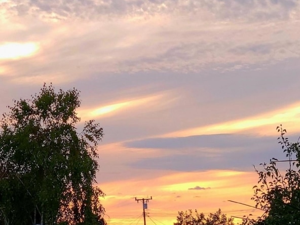 308 Kevin Street Northridge 9