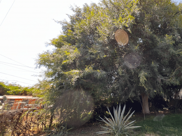 DJI_20220610_143248_091