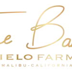 The Barn Tasting Room The Barn Tasting Room